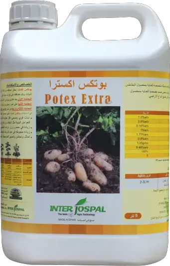 بوتكس إكسترا