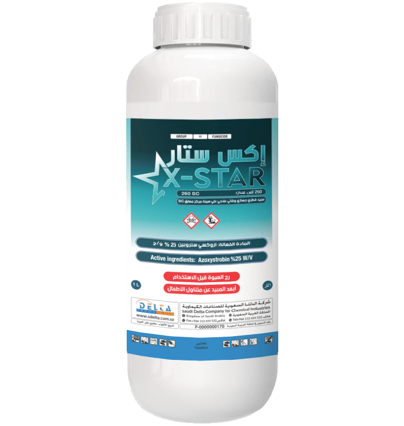 اكس ستار-250 أس سي 1لتر