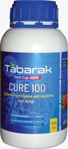 تبارك كيور 100
