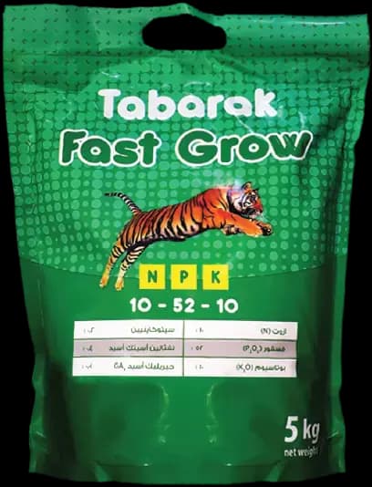 فاست جرو 10-52-10