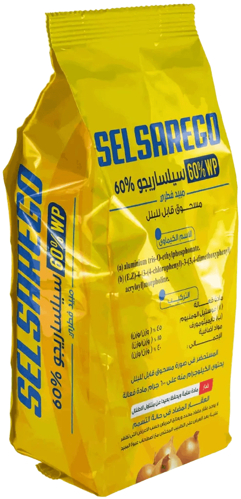 سيلسا ريجو ٪٦٠