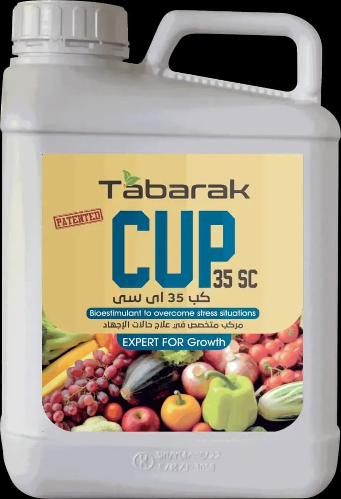 تبارك كب 35