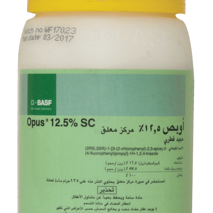 أوبص 12.5%