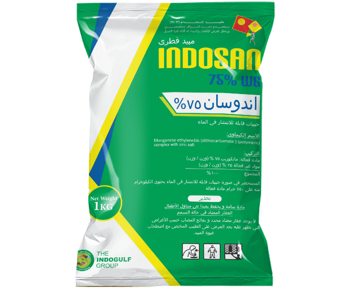 إندوسان