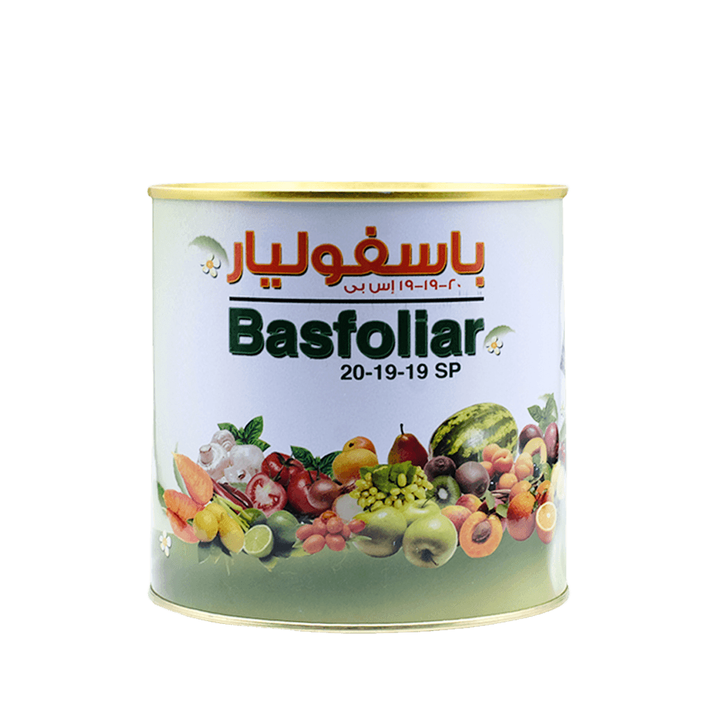 باسفوليار19-19-20 400جم