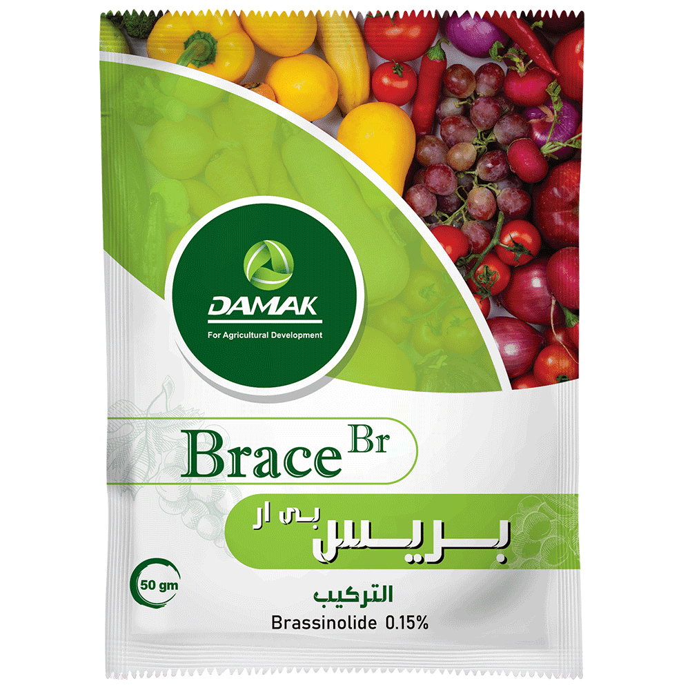 بريس بى ار