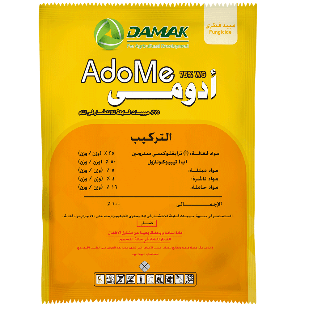 أدومي 75%