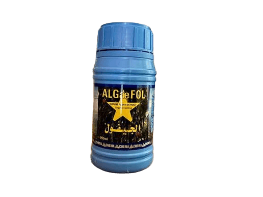 الجيفول 250 سم