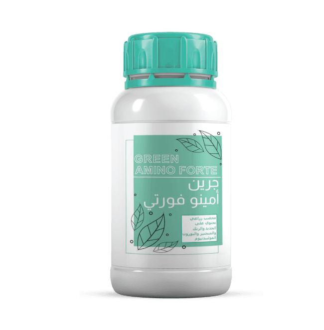 امينوفورت