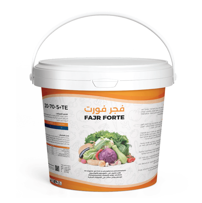 فجر فورت 20 كجم