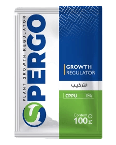 اسبيرجو 100جم