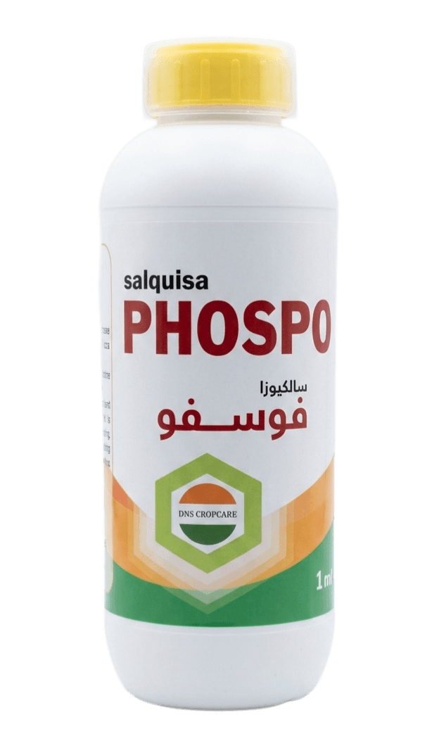 فوسفو لتر